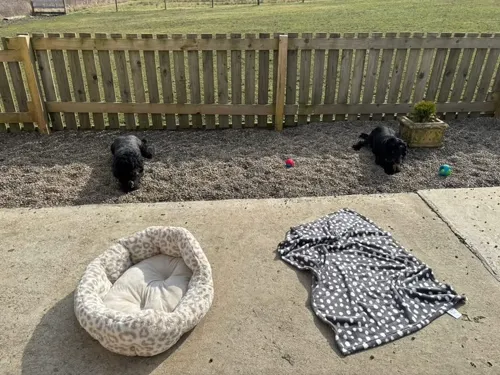 Guests relaxing outside with their beds on a sunny afternoon