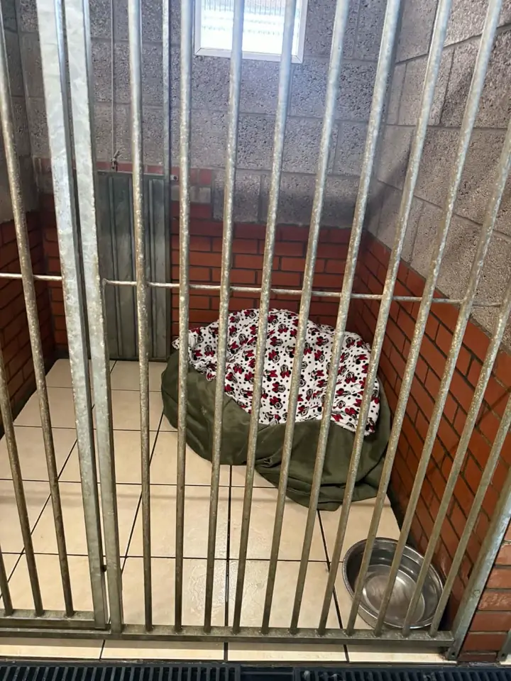 Inside one of our indoor kennel runs — tiled floor, brick walls and a cosy bed