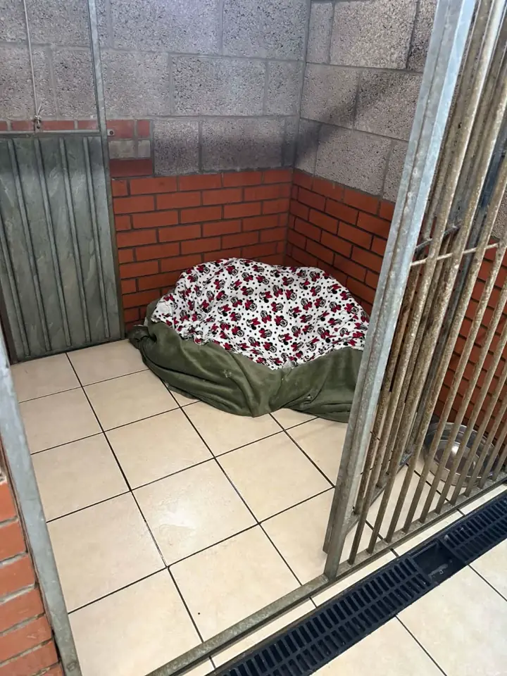 A kennel run viewed through its gate, with a fresh bowl of water